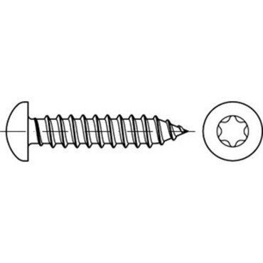 DIN7981TX Pan head tapping screw with Torx Steel zinc plated